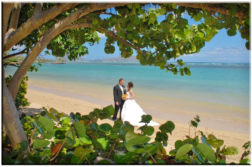 Waialae Beach Wedding