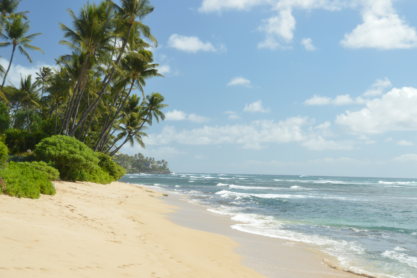 Diamond Head Beach